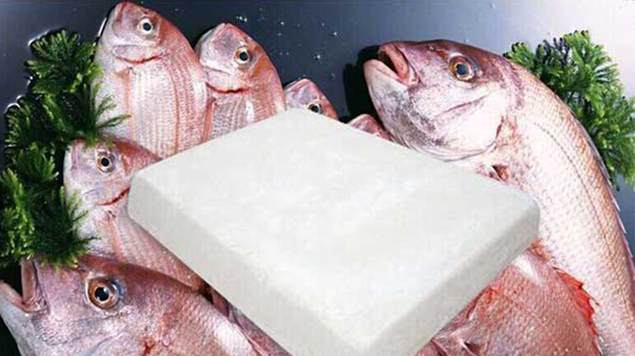 Seafood on ice at the fish market