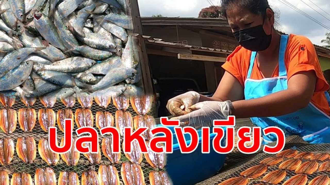 Seafood on ice at the fish market